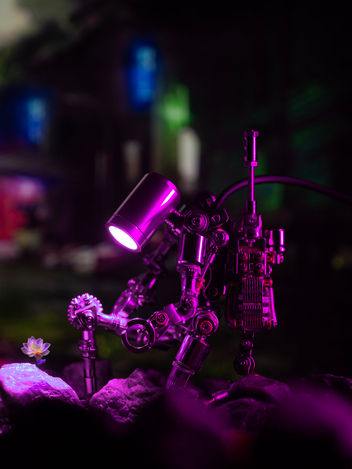 Terminator M -  Mostarle