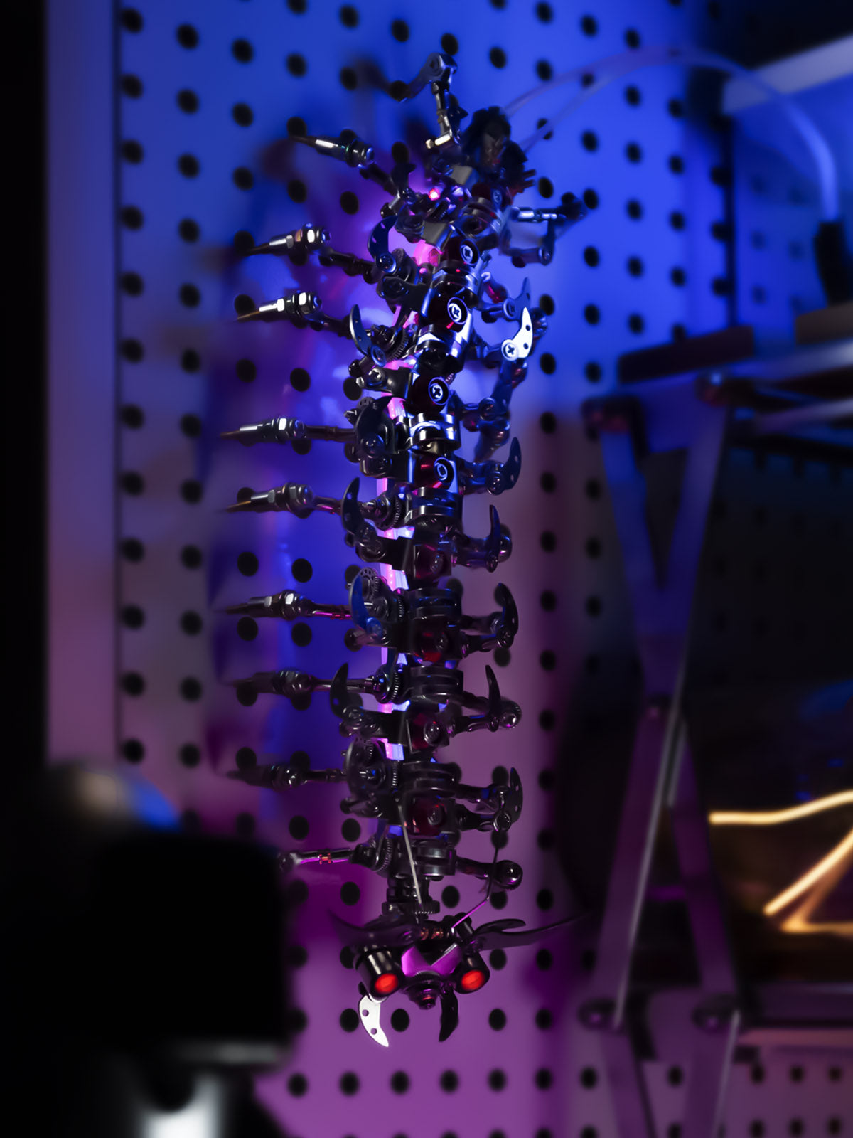 Nebulipedes - Mostarle