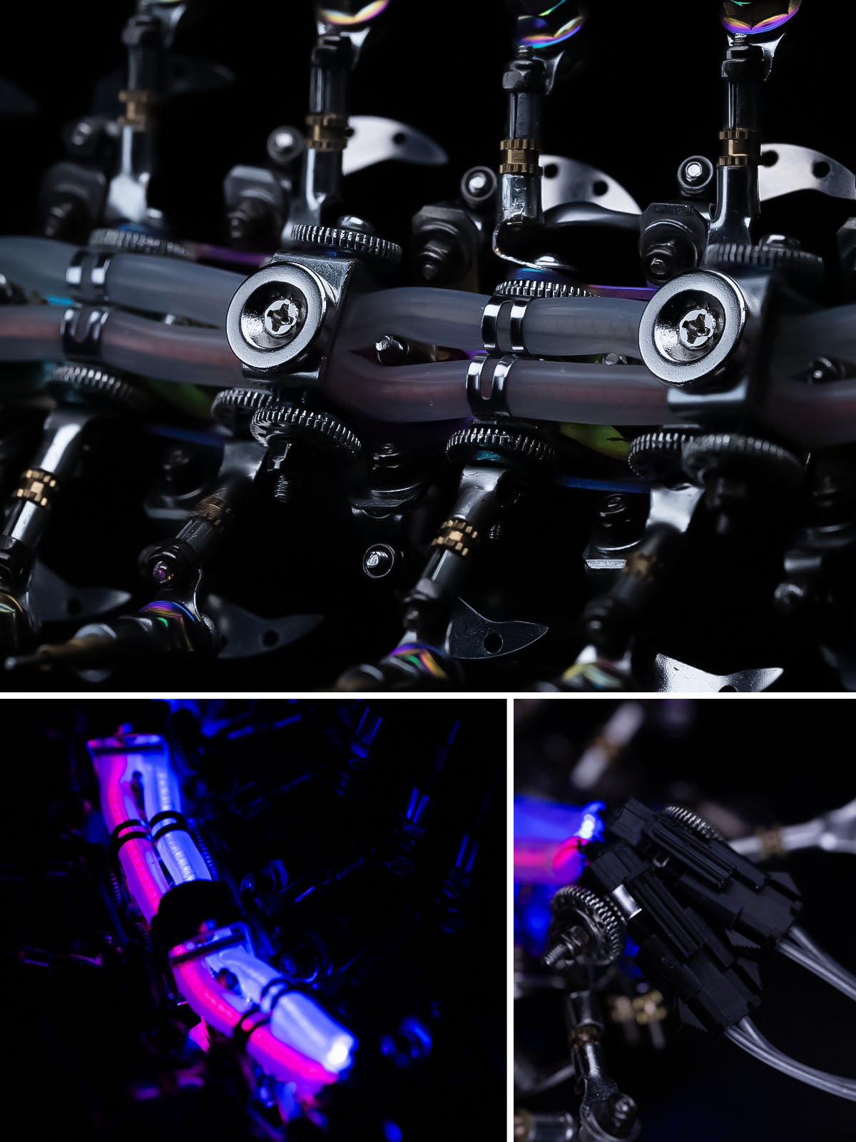 Nebulipedes - Mostarle