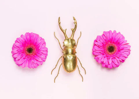 3 Insekten-Themen-Puzzles, die du noch heute anfangen kannst