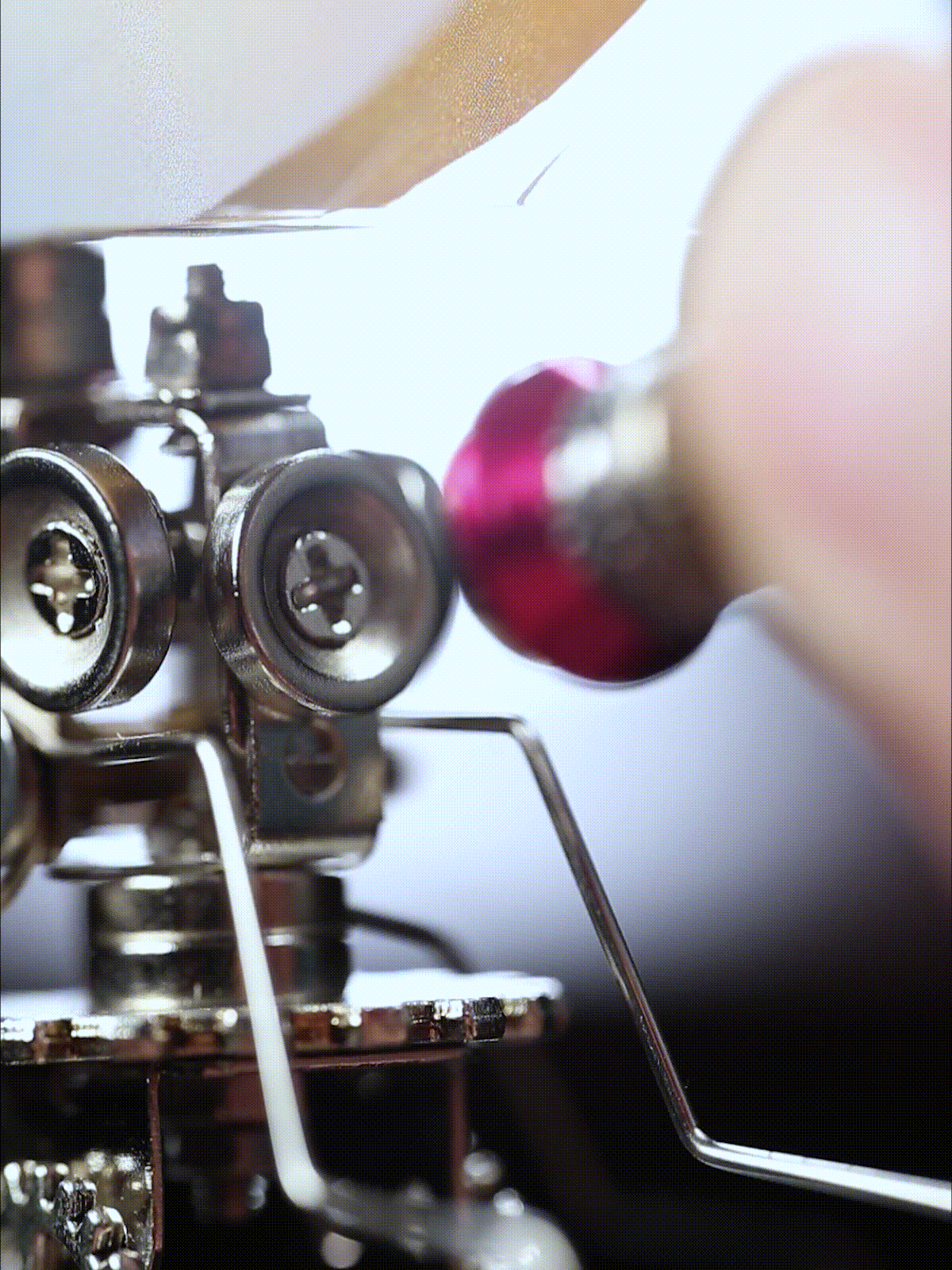 Vivillon -  Mostarle