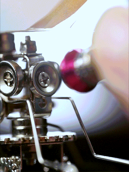 Vivillon -  Mostarle