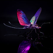 Mayfly