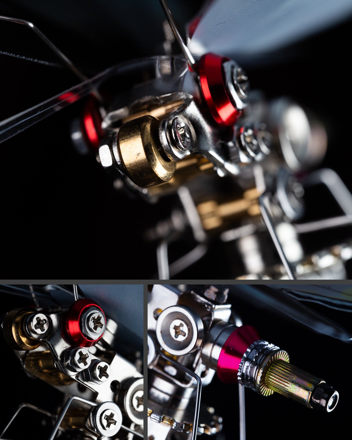 Vivillon -  Mostarle