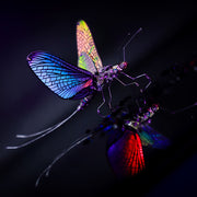 Mayfly