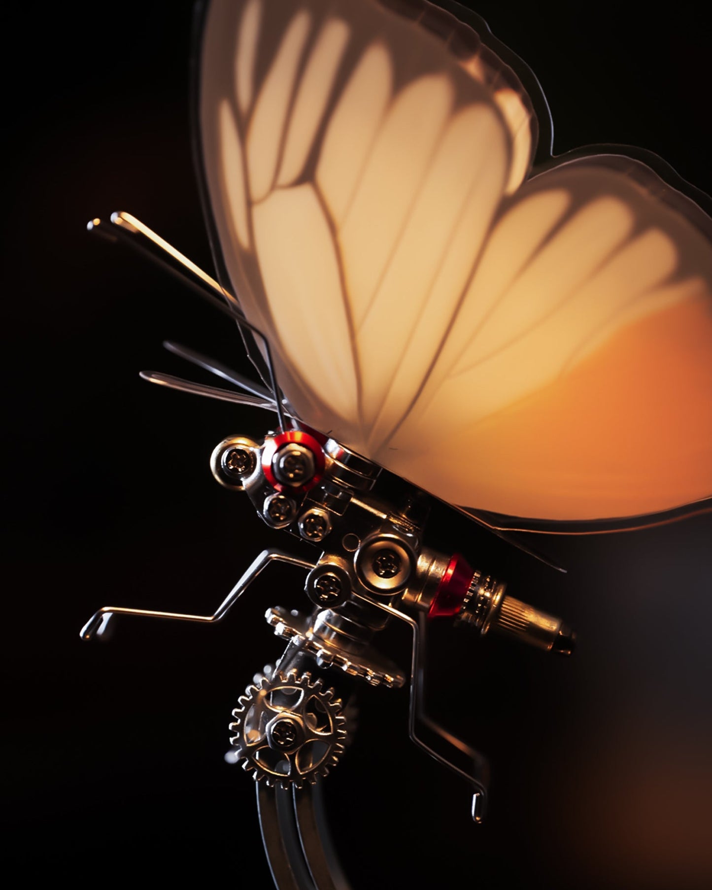 Vivillon -  Mostarle