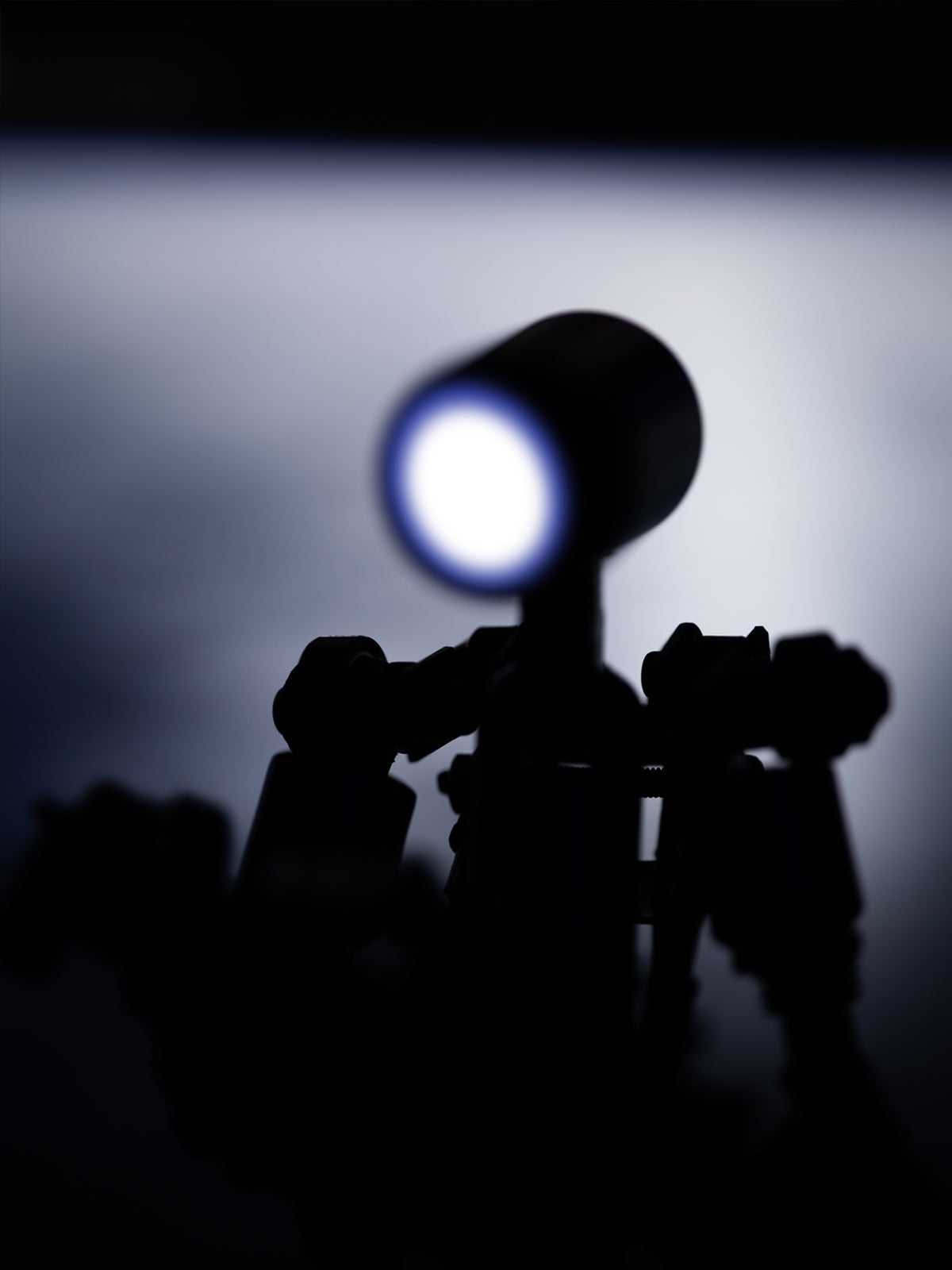 Terminator M -  Mostarle