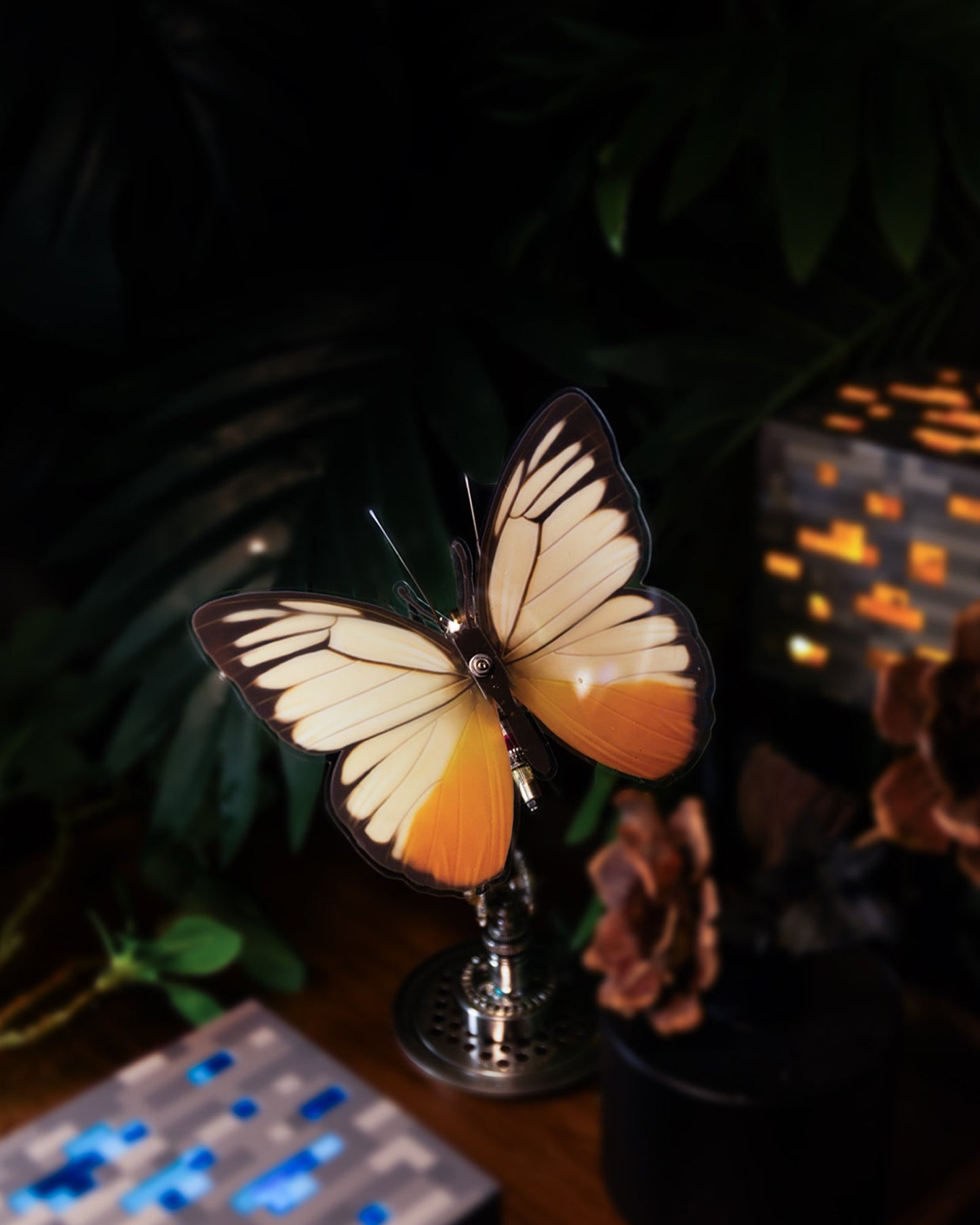 Vivillon -  Mostarle