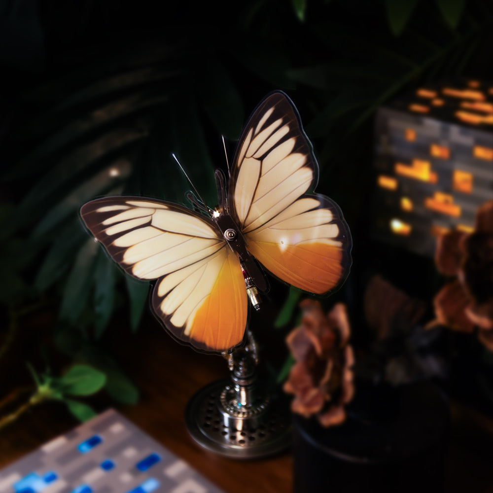 Vivillon -  Mostarle