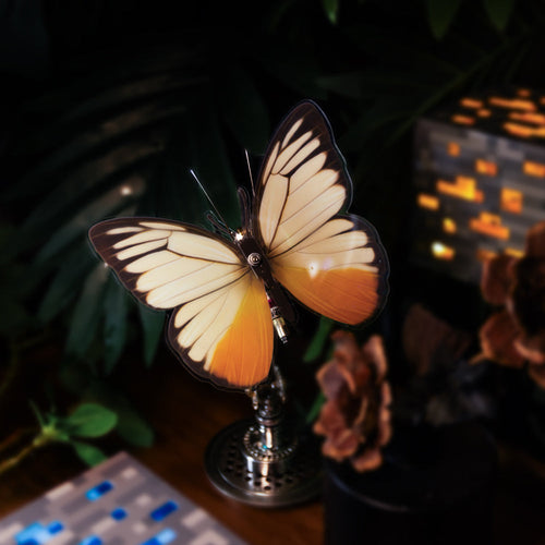 Vivillon -  Mostarle