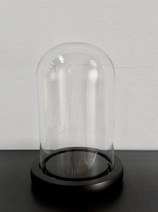 Clear glass dome with black base on a white background