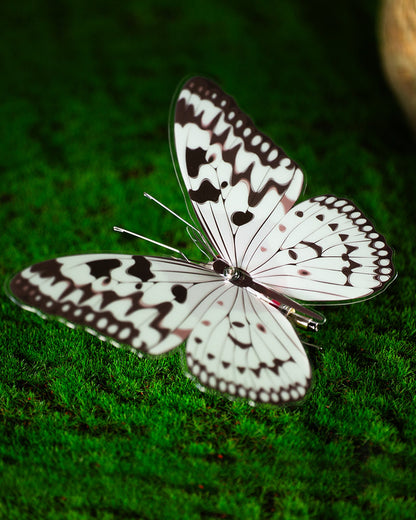 Vivillon -  Mostarle