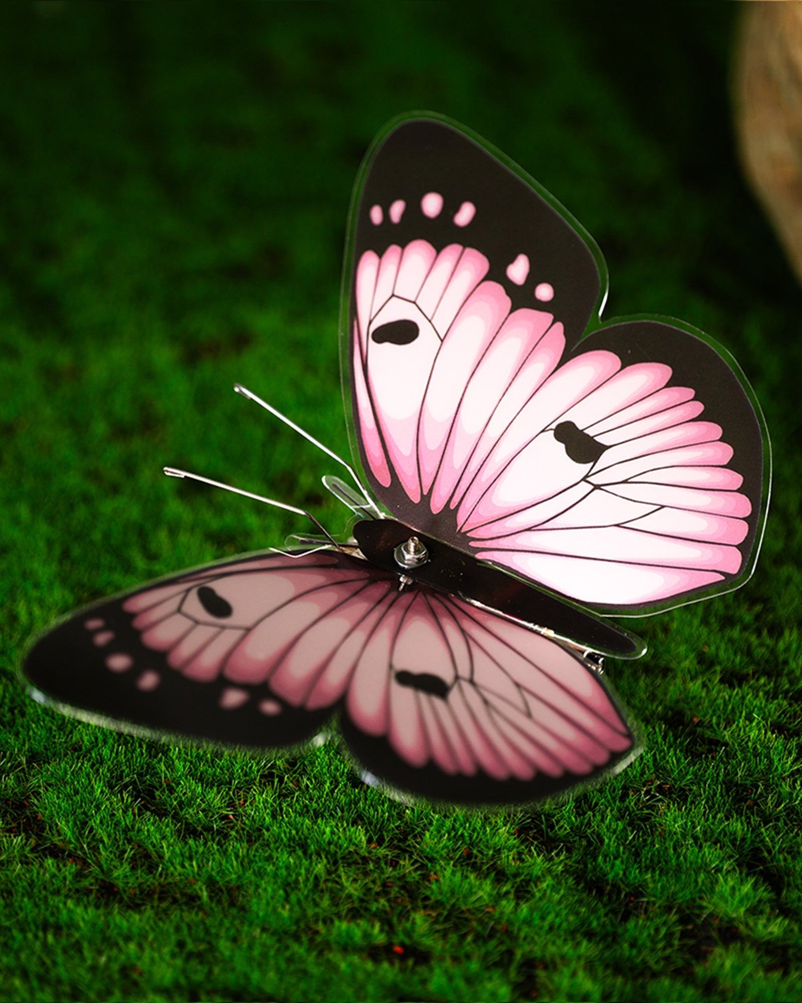 Vivillon -  Mostarle