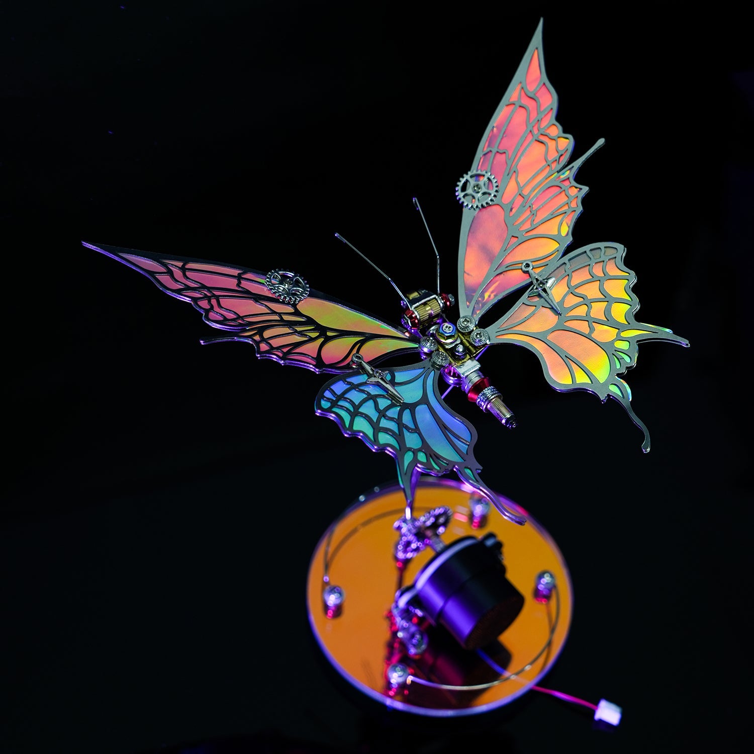 Aurora Butterfly