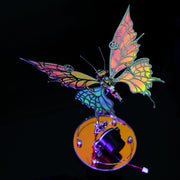 Aurora Butterfly