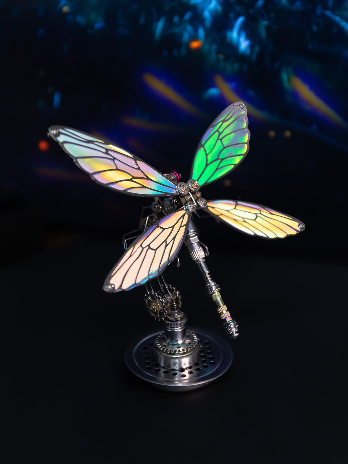 Libelle -  Mostarle