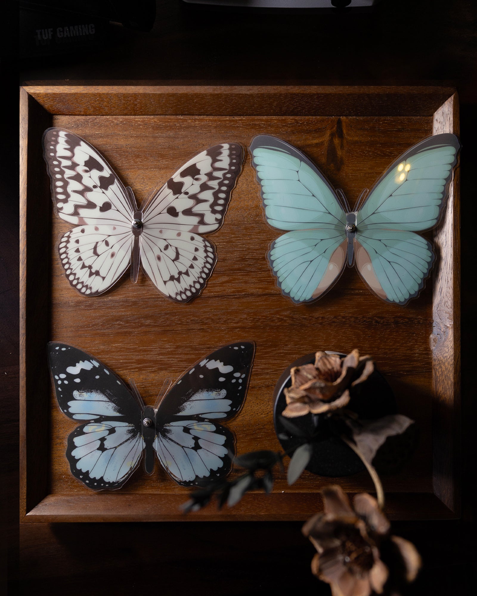 Vivillon -  Mostarle